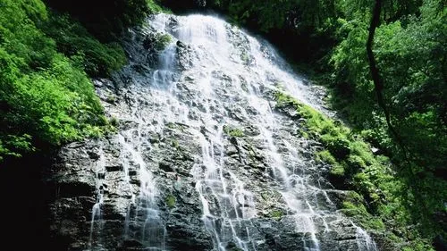 独特高标准